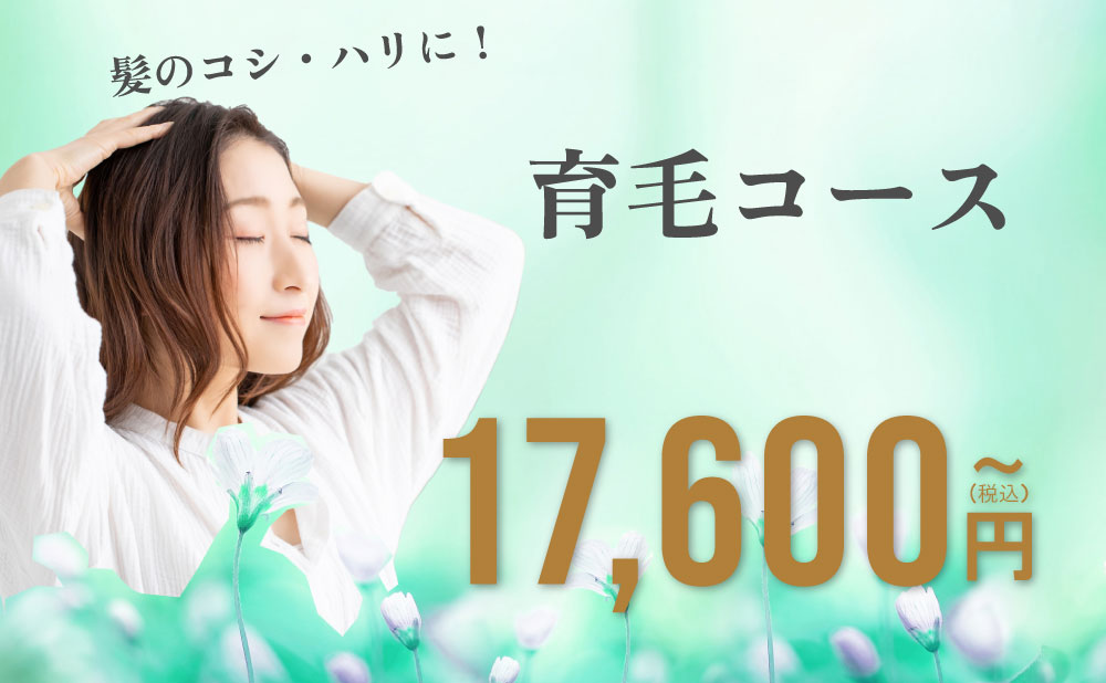 クリスマスキャンペーン
